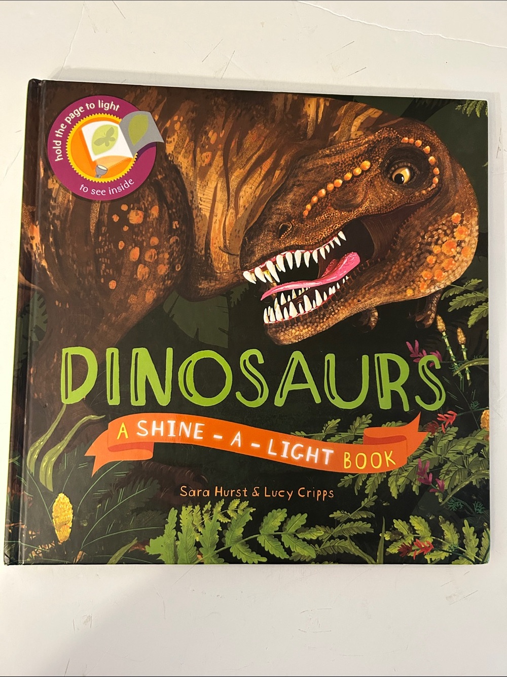 Dinosaurs: A Shine-A-Light Book (use a flashlight to see hidden objects!)